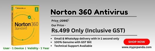 Norton 360 Antivirus 